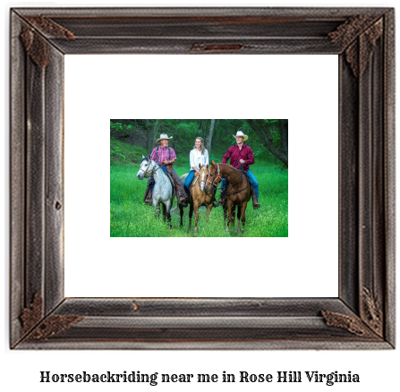 horseback riding near me in Rose Hill, Virginia